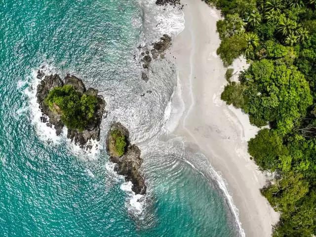 Beach surrounded by vegetation