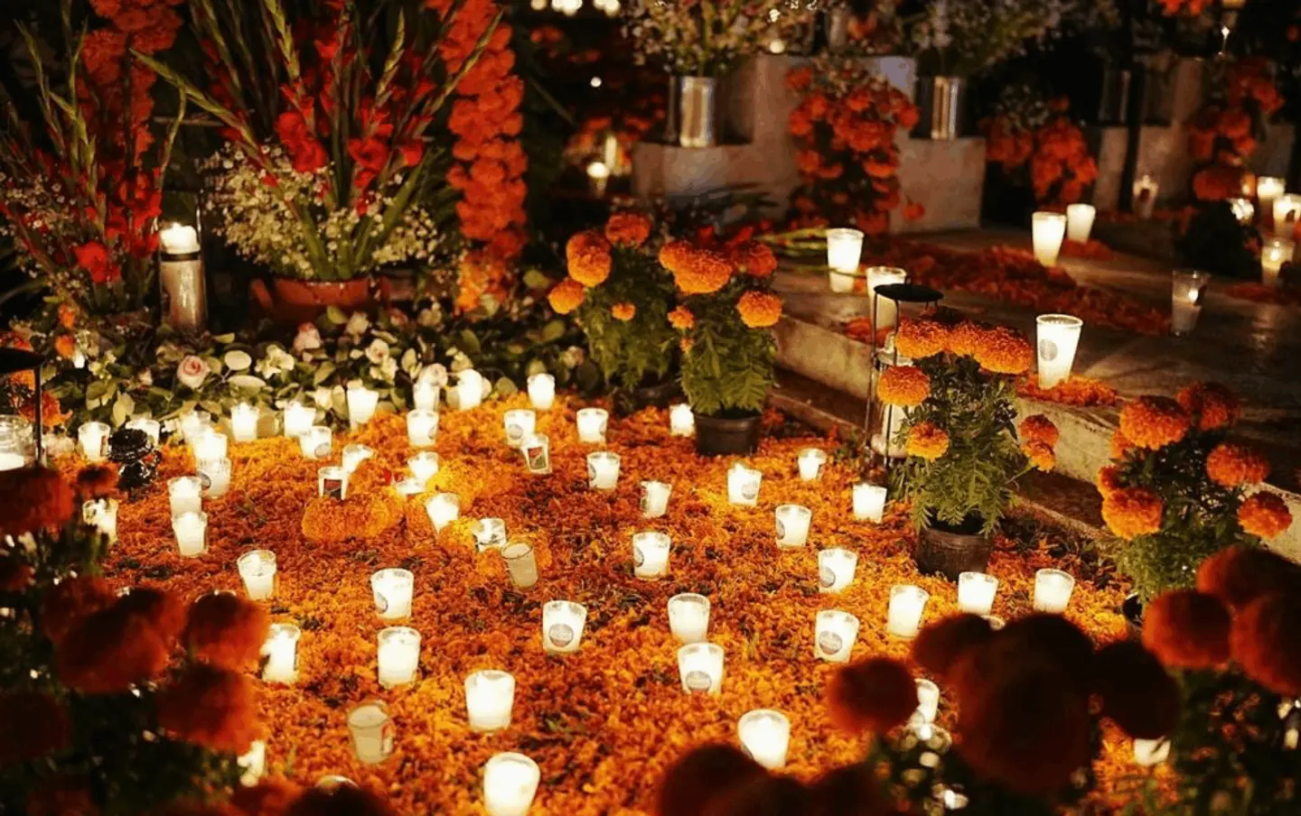 The expat community in Mexico celebrating Día de los Muertos.